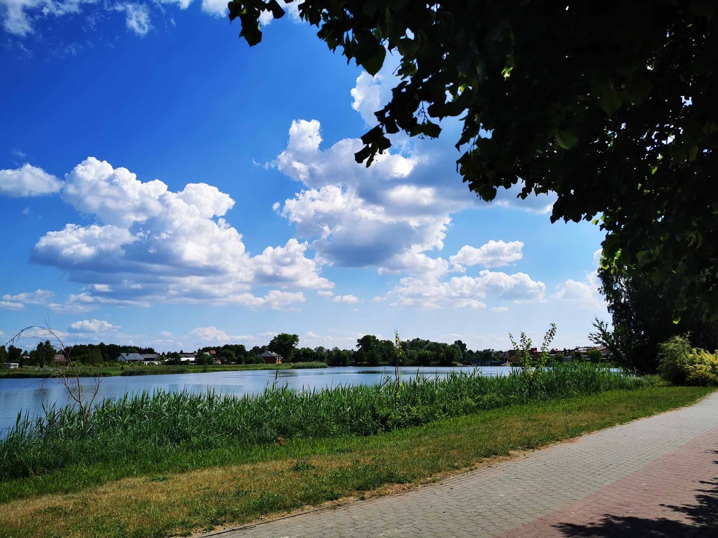 Plaża (Plaża w Nowym Mieście nad Zalewem Nowomiejskim)